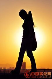 旅游资讯与咨询 开启完美旅程的关键