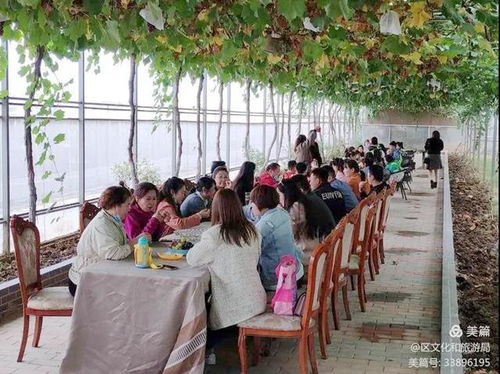 渭南文化旅游资讯微报（10月15日）